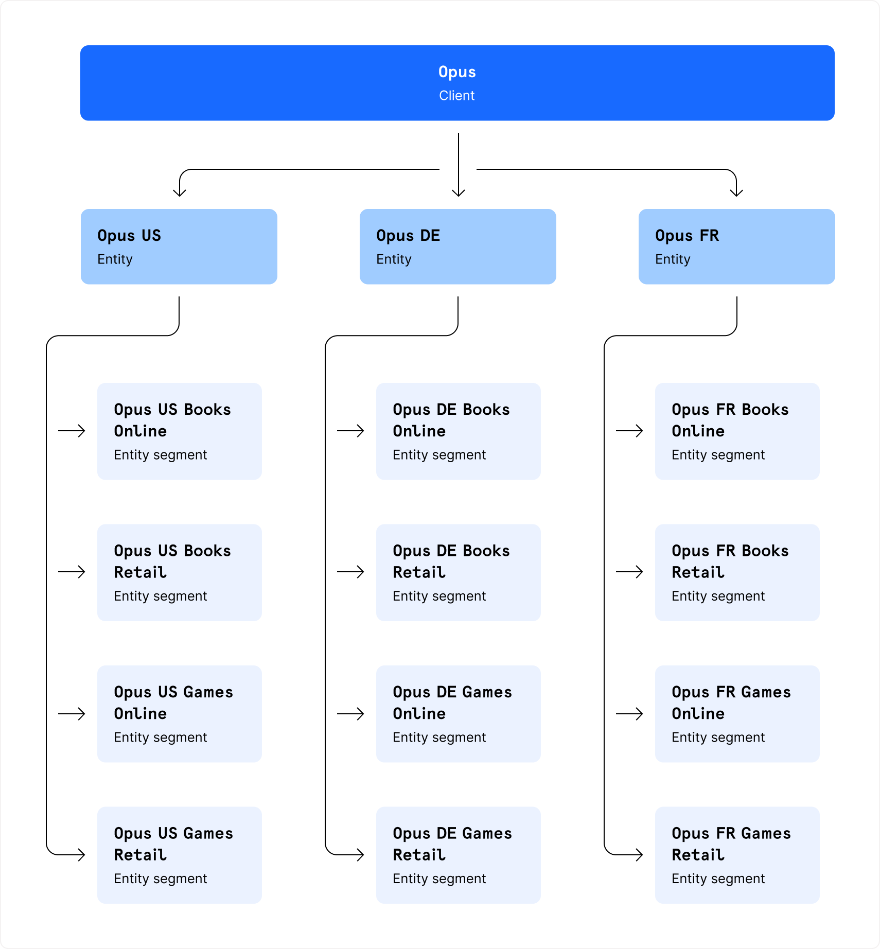 Possible account structure with entity segments